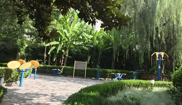 金准提王