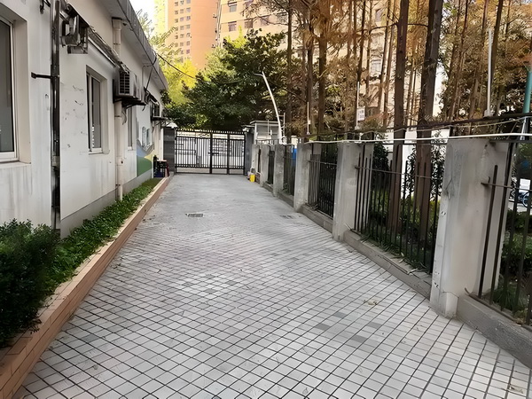 与君妻